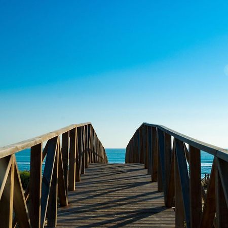 Residencial Aqua Nature La Mata 4-1D Kültér fotó